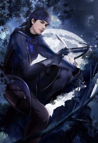 仗剑(gl武侠np)