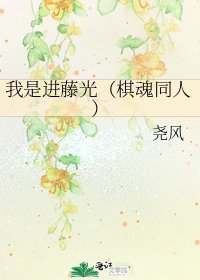 我是進藤光(棋魂同人)