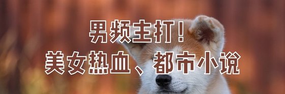 男頻主打！美女熱血、都市小說